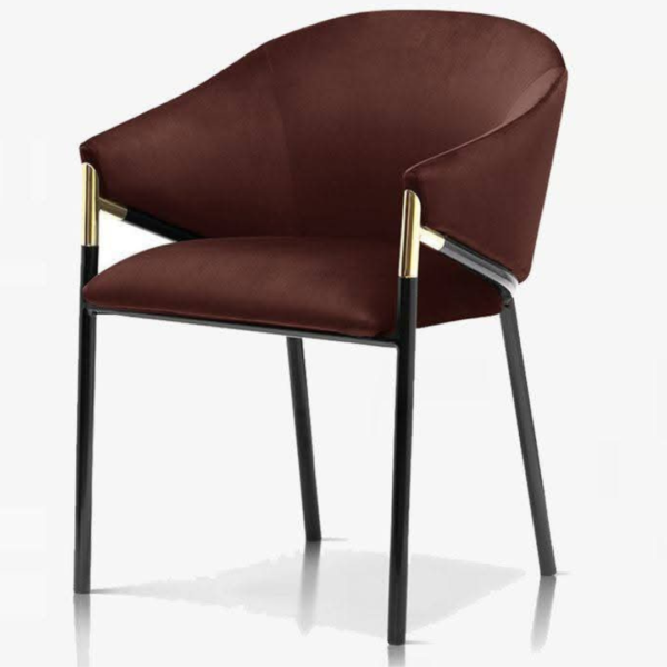 Modern Elegant Accent Chair